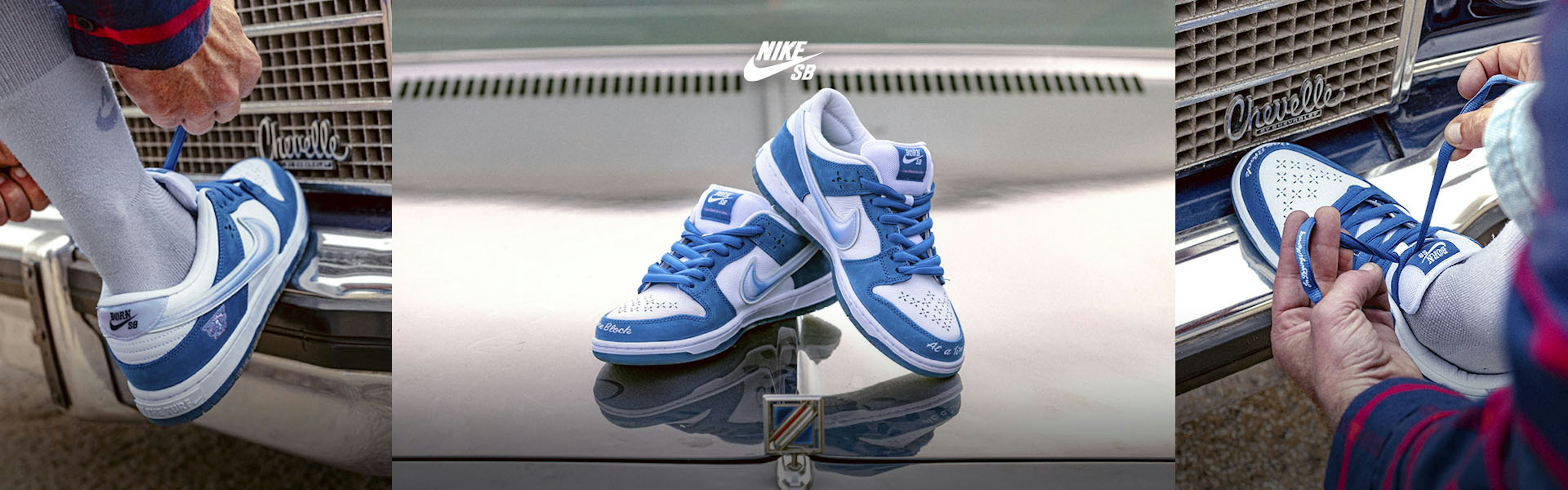 Nike SB Dunk Low Born x Raised